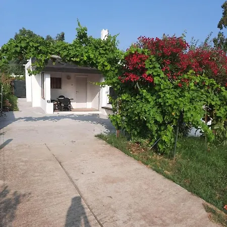 Esinai 2 * シニスコーラ